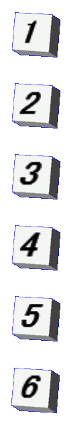 d6